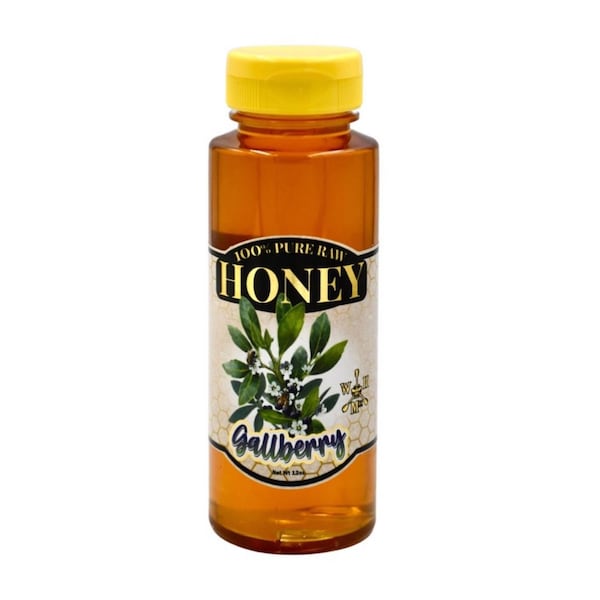 World Honey Market Gallberry Honey 12 oz Bottle GB-5704 - main